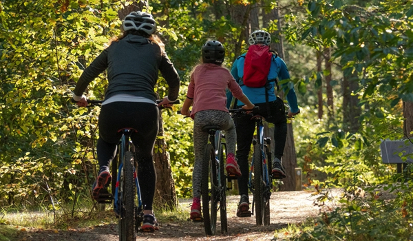 New Hampshire biking